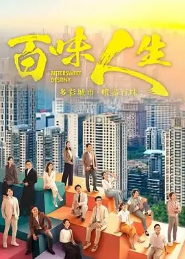 山河故人 电视剧海报